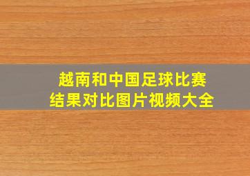 越南和中国足球比赛结果对比图片视频大全