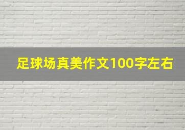 足球场真美作文100字左右