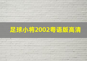 足球小将2002粤语版高清