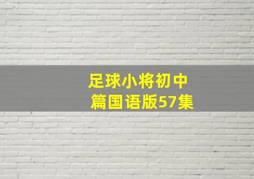 足球小将初中篇国语版57集