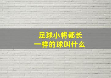 足球小将都长一样的球叫什么