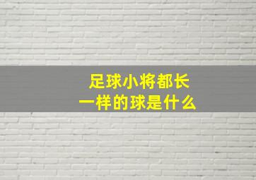 足球小将都长一样的球是什么