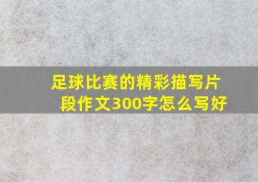 足球比赛的精彩描写片段作文300字怎么写好