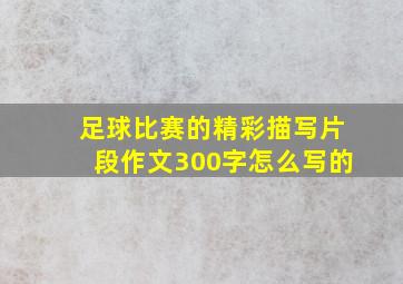 足球比赛的精彩描写片段作文300字怎么写的