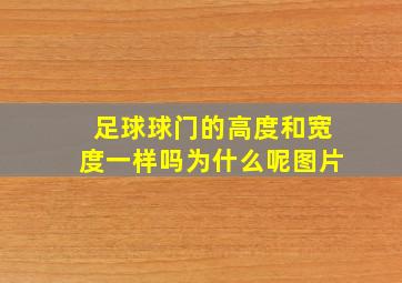 足球球门的高度和宽度一样吗为什么呢图片