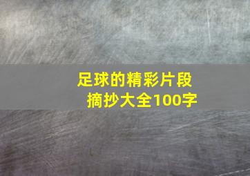 足球的精彩片段摘抄大全100字