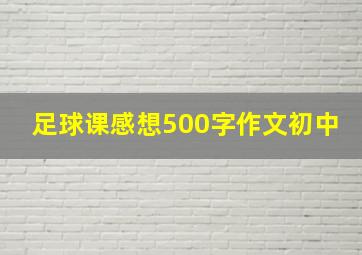 足球课感想500字作文初中