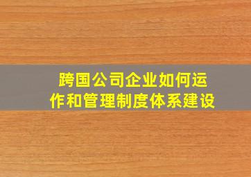 跨国公司企业如何运作和管理制度体系建设