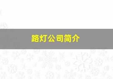 路灯公司简介