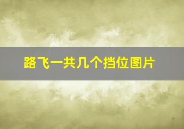 路飞一共几个挡位图片