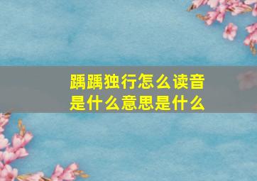 踽踽独行怎么读音是什么意思是什么