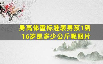 身高体重标准表男孩1到16岁是多少公斤呢图片