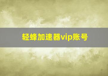 轻蜂加速器vip账号