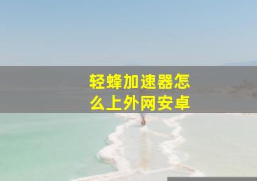 轻蜂加速器怎么上外网安卓