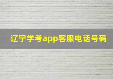 辽宁学考app客服电话号码