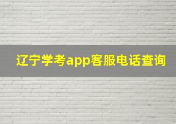 辽宁学考app客服电话查询