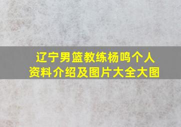 辽宁男篮教练杨鸣个人资料介绍及图片大全大图