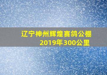 辽宁神州辉煌赛鸽公棚2019年300公里