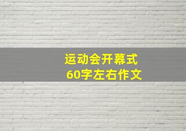 运动会开幕式60字左右作文