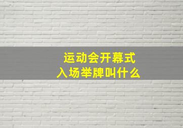 运动会开幕式入场举牌叫什么