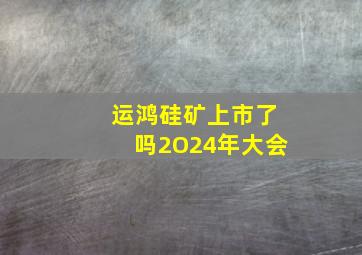 运鸿硅矿上市了吗2O24年大会