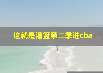 这就是灌篮第二季进cba