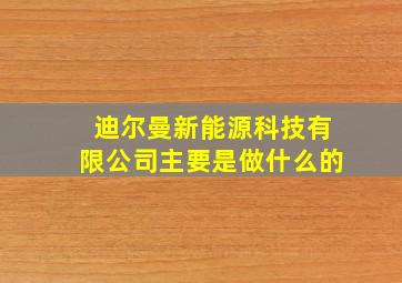 迪尔曼新能源科技有限公司主要是做什么的