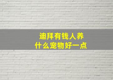 迪拜有钱人养什么宠物好一点