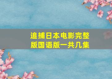 追捕日本电影完整版国语版一共几集