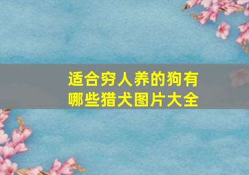 适合穷人养的狗有哪些猎犬图片大全