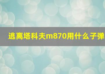 逃离塔科夫m870用什么子弹