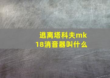 逃离塔科夫mk18消音器叫什么