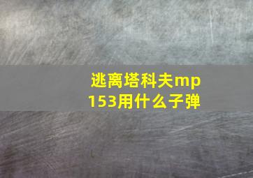 逃离塔科夫mp153用什么子弹