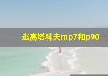 逃离塔科夫mp7和p90