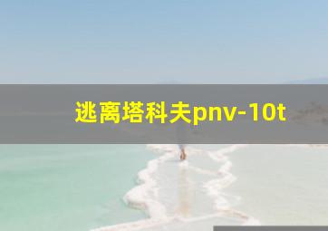 逃离塔科夫pnv-10t