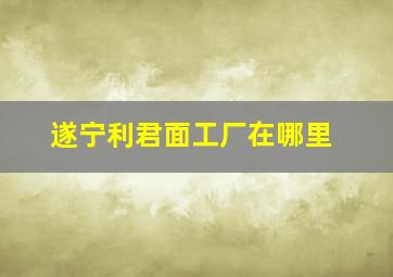 遂宁利君面工厂在哪里