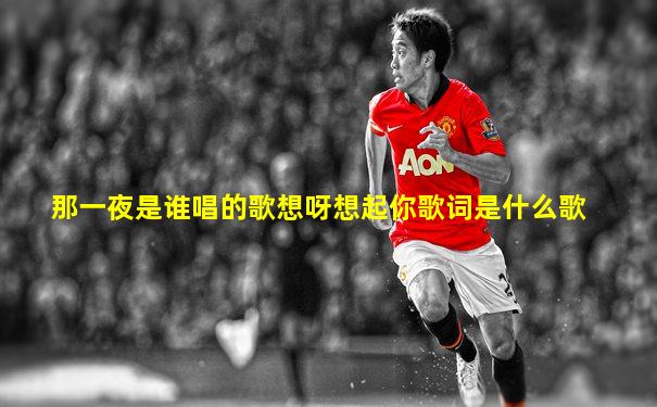 那一夜是谁唱的歌想呀想起你歌词是什么歌