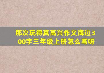 那次玩得真高兴作文海边300字三年级上册怎么写呀