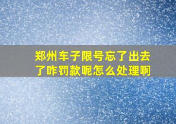 郑州车子限号忘了出去了咋罚款呢怎么处理啊