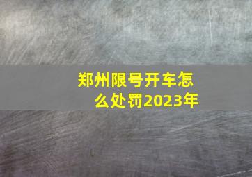 郑州限号开车怎么处罚2023年