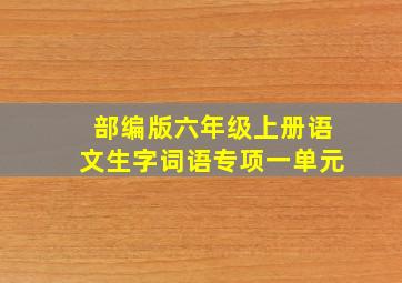 部编版六年级上册语文生字词语专项一单元