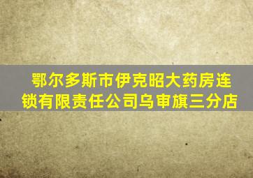 鄂尔多斯市伊克昭大药房连锁有限责任公司乌审旗三分店