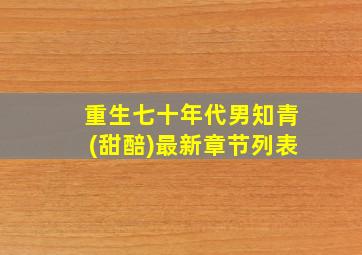 重生七十年代男知青(甜醅)最新章节列表