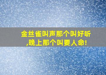 金丝雀叫声那个叫好听,晚上那个叫要人命!