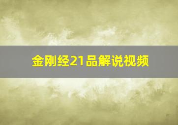 金刚经21品解说视频