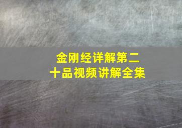 金刚经详解第二十品视频讲解全集