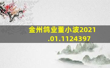 金州鸽业董小波2021.01.1124397