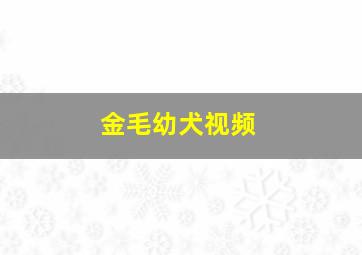 金毛幼犬视频