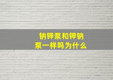 钠钾泵和钾钠泵一样吗为什么