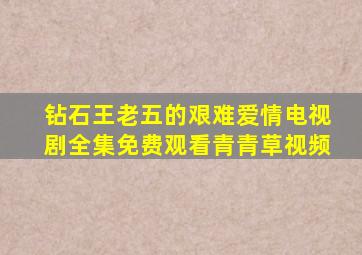 钻石王老五的艰难爱情电视剧全集免费观看青青草视频